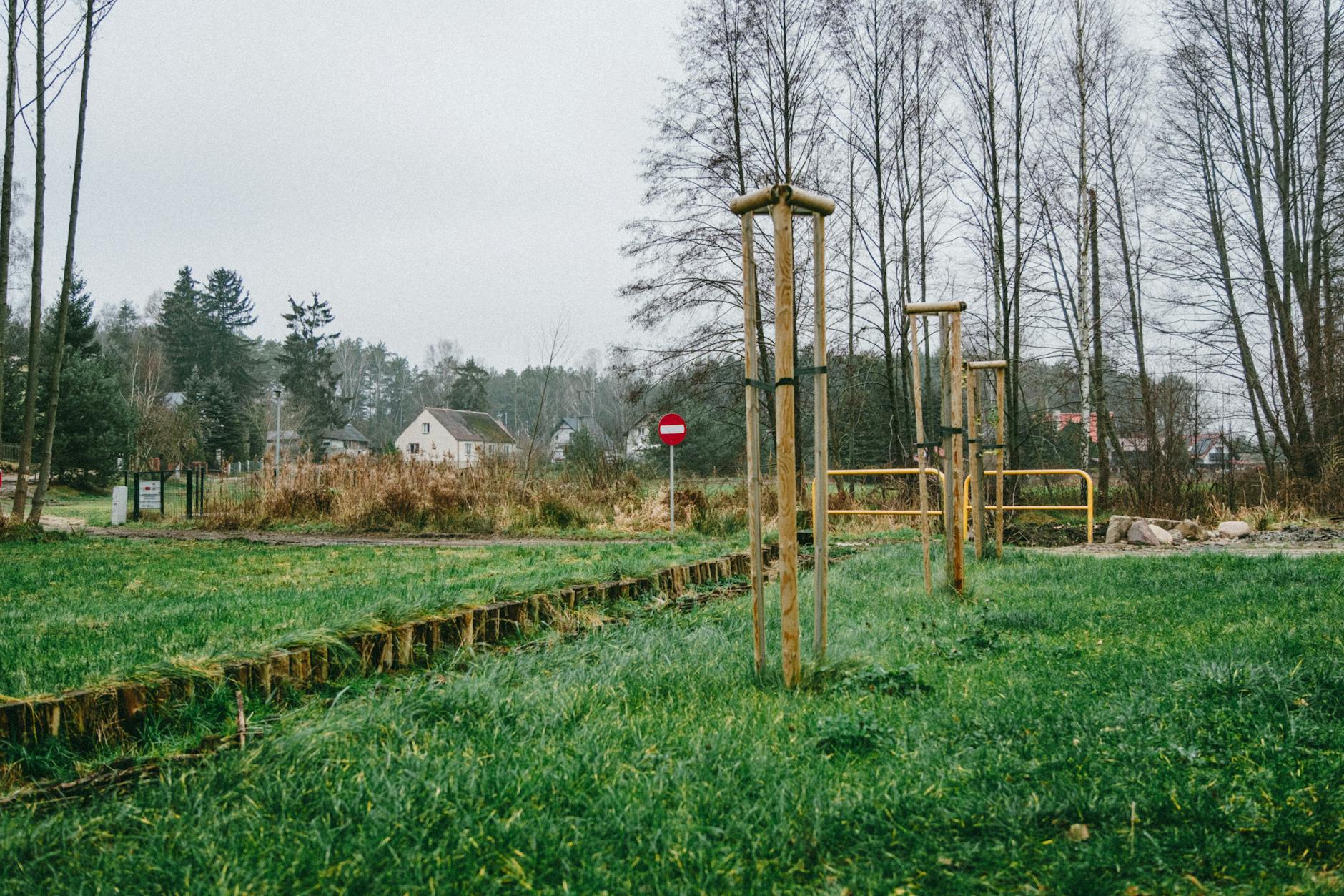 Małe regiony wielkich doznań: kameralne mikroregiony idealne na pierwszy slow weekend Jesienny polski krajobraz z młodymi drzewami i spokojną wiejską okolicą