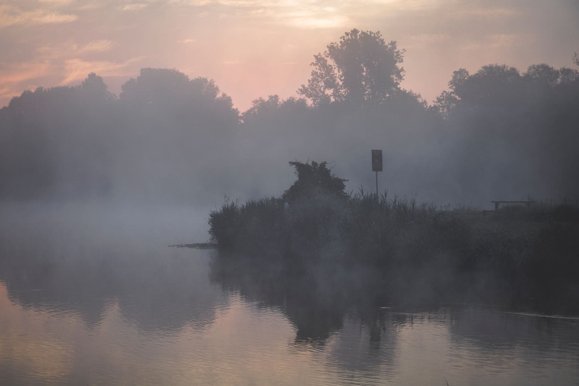 Mglisty wschód słońca nad spokojnym jeziorem otoczonym drzewami Mglisty wschód słońca nad spokojnym jeziorem otoczonym drzewami